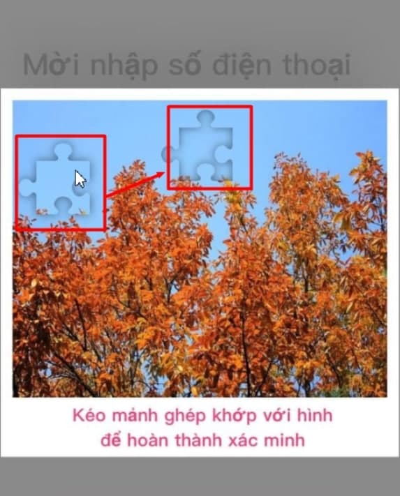 Tải QQlive iOS Phiên Bản 1.6.8 Mới Nhất – Trải Nghiệm Cực Đỉnh 6 tai-qqlive-ios