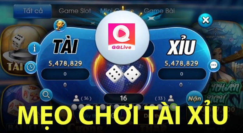 Mẹo chơi tài xỉu QQLive thắng lớn