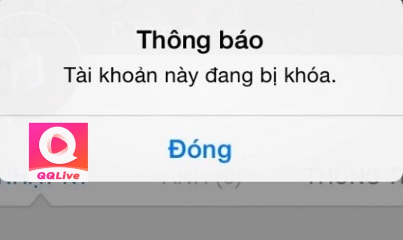 Tại Sao Tài Khoản QQlive Bị Khóa? Làm Cách Nào Để Tránh? 3 tài khoản QQlive bị khoá
