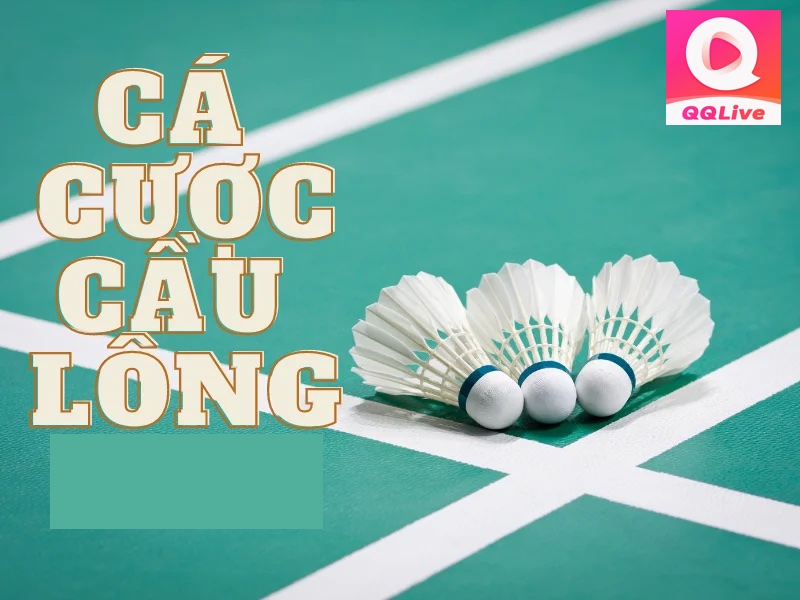 Tải QQ Live - Trải Nghiệm Top 5 Môn Cá Cược Thể Thao Thịnh Hành Nhất 2024 3 Cá cược thể thao trên QQlive