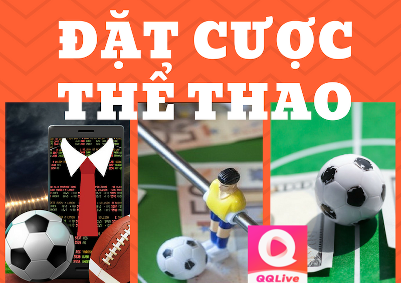 Hướng Dẫn Tải App QQ Live và Đặt Cược Thể Thao tại QQ Live Mới Nhất 2025 2 cá cược thể thao