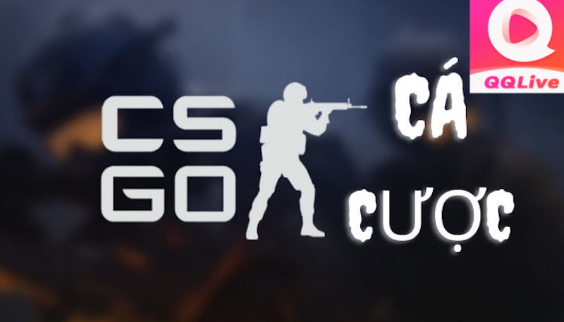 Tải QQ Live Chơi Cá Cược CSGO - Hướng Dẫn Đơn Giản Và Bí Quyết Thắng Lớn 1 Cá cược CSGO trên QQlive