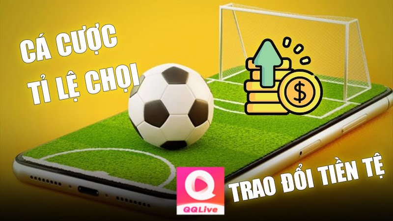 Hướng Dẫn Tải App QQ Live và Đặt Cược Thể Thao tại QQ Live Mới Nhất 2025 3 Số tiền thắng cược