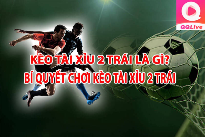 Kèo Tài Xỉu 2 trái trên app QQlive