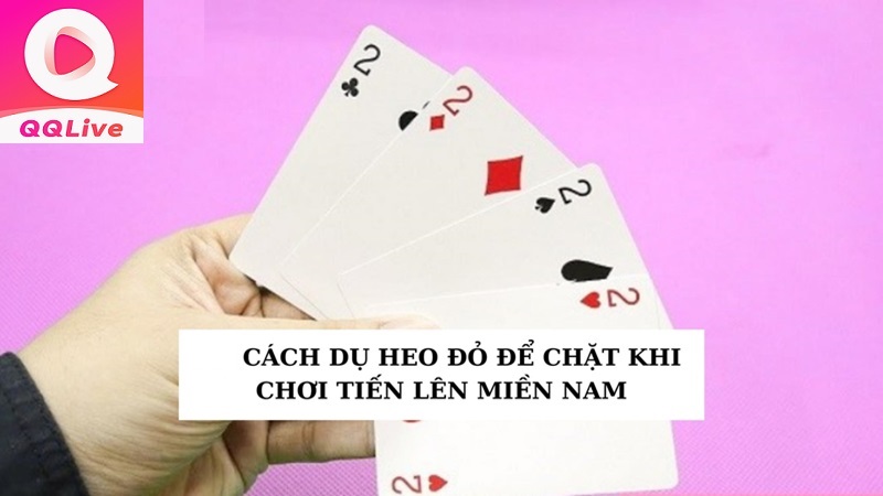 chặt heo Tiến Lên Miền Nam QQLive