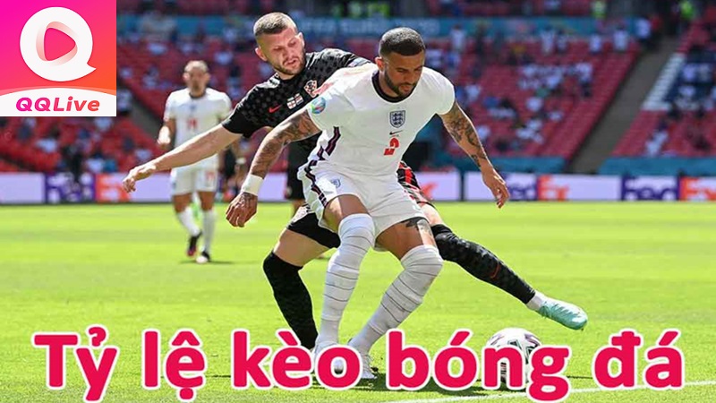 Cách đọc tỷ lệ kèo trên app live QQLive