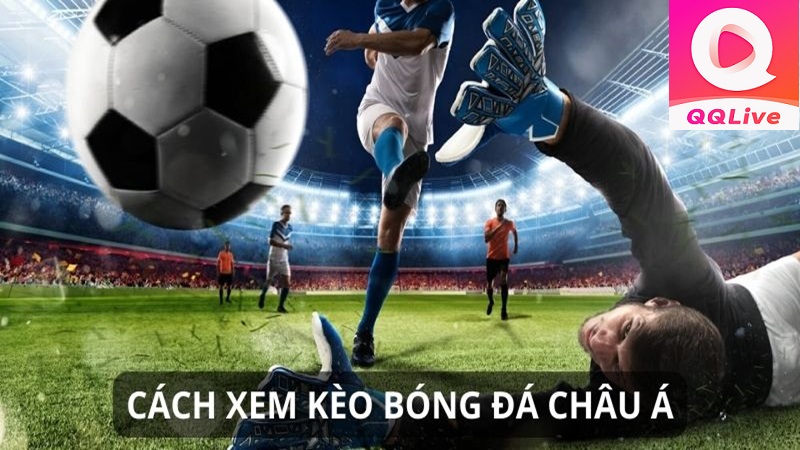 Kèo châu Á QQLive – Cá cược chuẩn 2024
