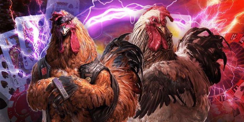 Đá Gà 33WIN | Sới Chọi Gà Đẳng Cấp Nhất Đông Nam Á 2025 2 Các hình thức chọi gà 33win hot