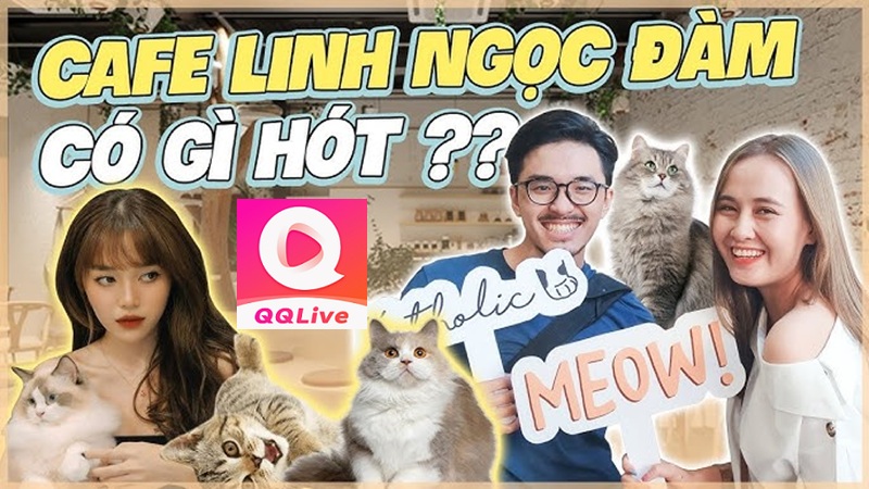 Linh Ngọc Đàm Chính Thức Khai Trương Quán Cà Phê Mới – Điểm Hẹn Lý Tưởng Cho Giới Trẻ 4 cafe linh ngọc đàm có gì hot