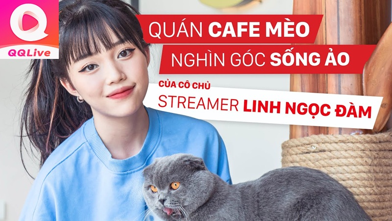 Linh Ngọc Đàm Chính Thức Khai Trương Quán Cà Phê Mới – Điểm Hẹn Lý Tưởng Cho Giới Trẻ 2 quán cafe mèo nhìn góc sống ảo của streamer linh ngọc đàm